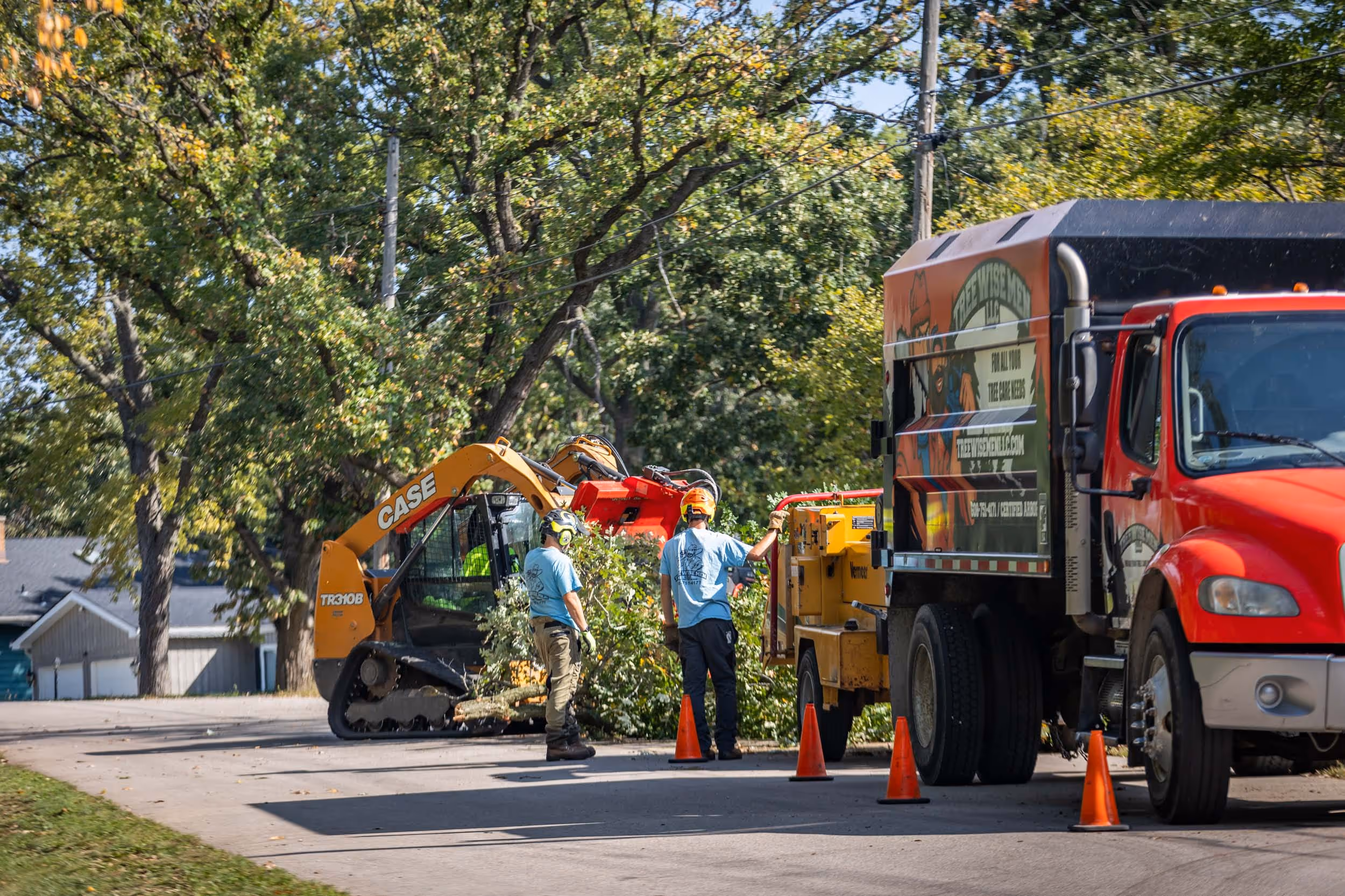 Tree Removal Service Completed on Memorial Drive, Janesville, WI