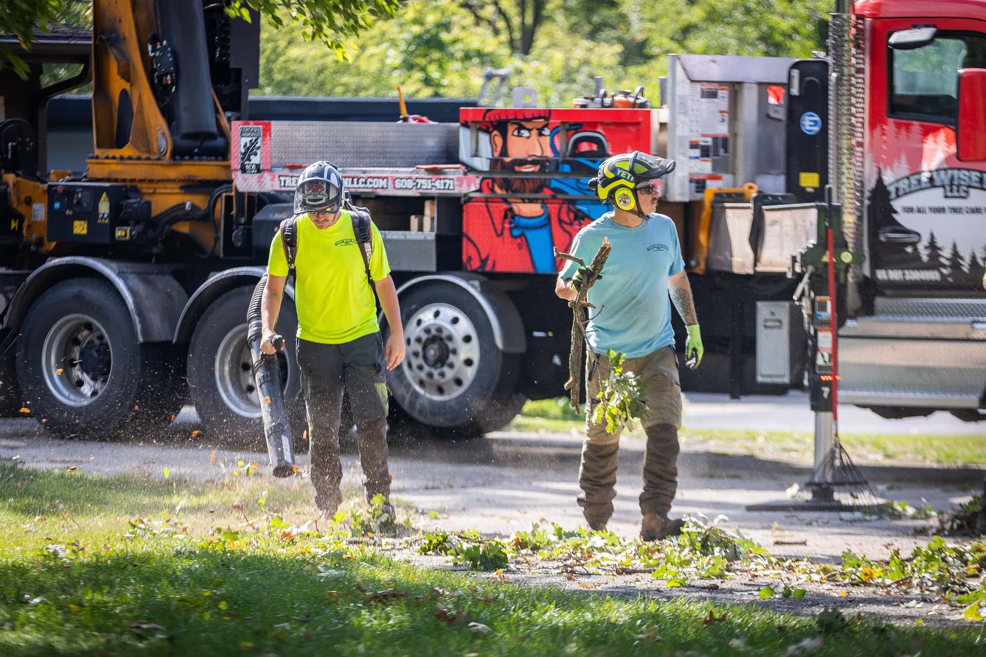 Tree Trimming Milton