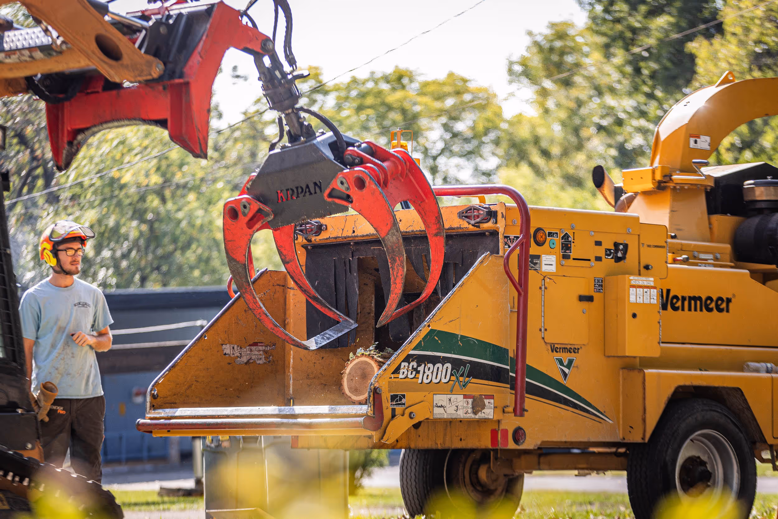 Holiday Tree Safety and Care Tips for Janesville Homeowners