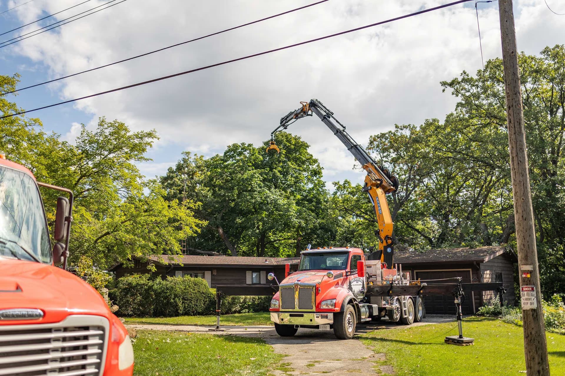 Large Tree Removal