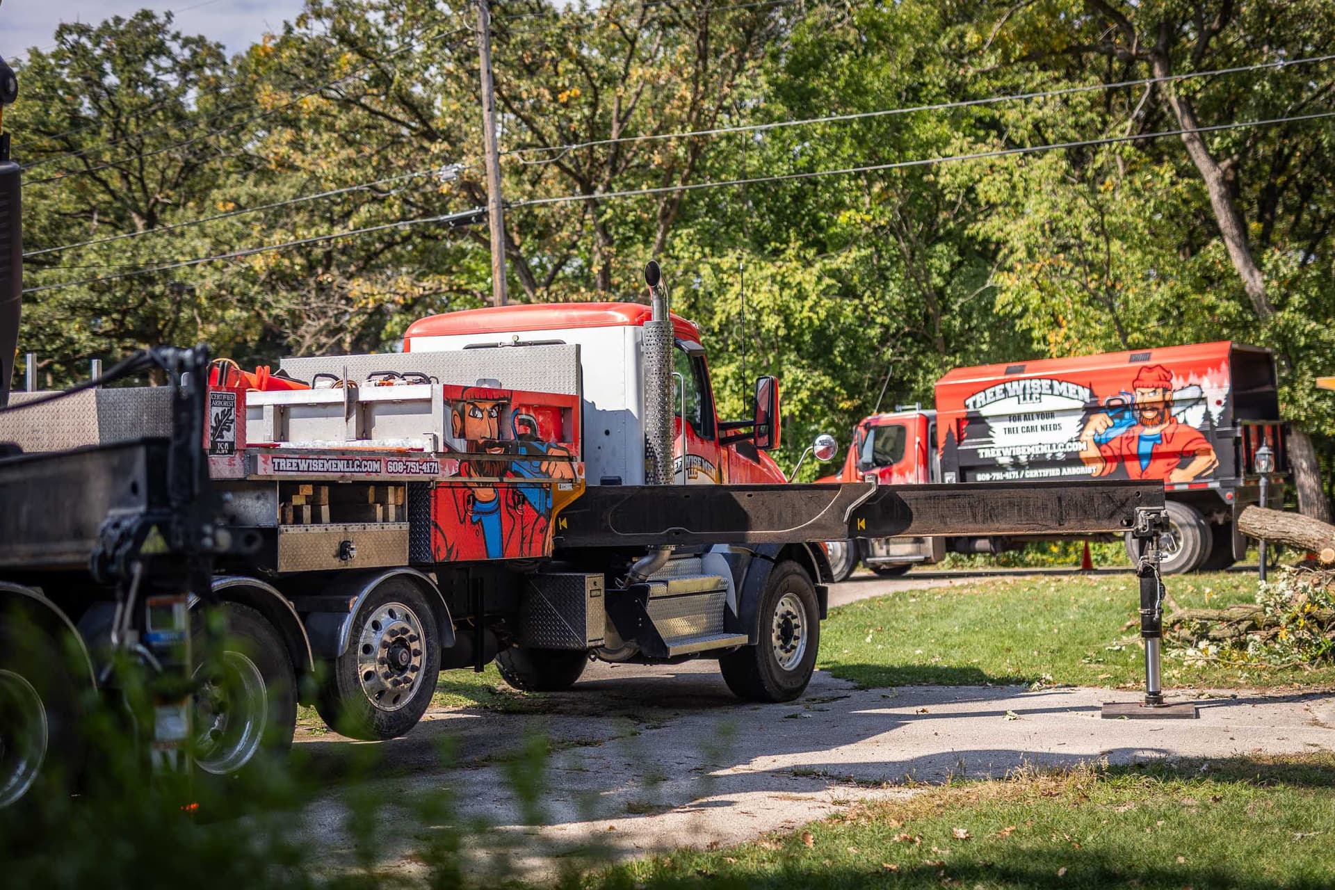 Tree service gallery