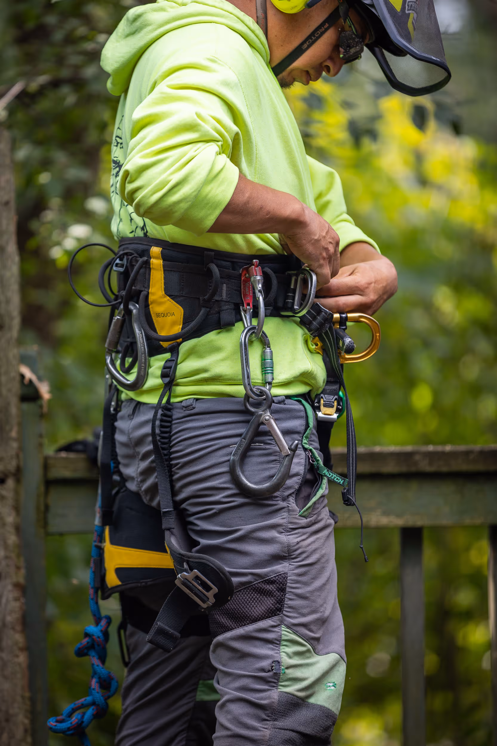 How Much Does Tree Removal Cost in Janesville WI